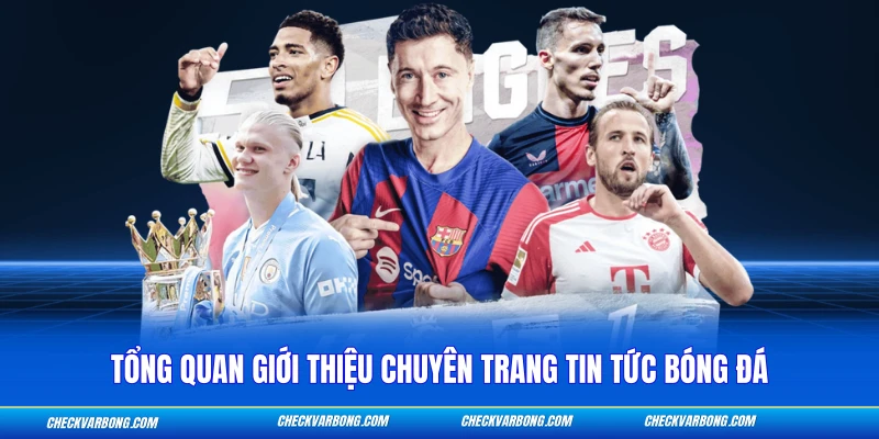 Tổng quan giới thiệu chuyên trang tin tức bóng đá