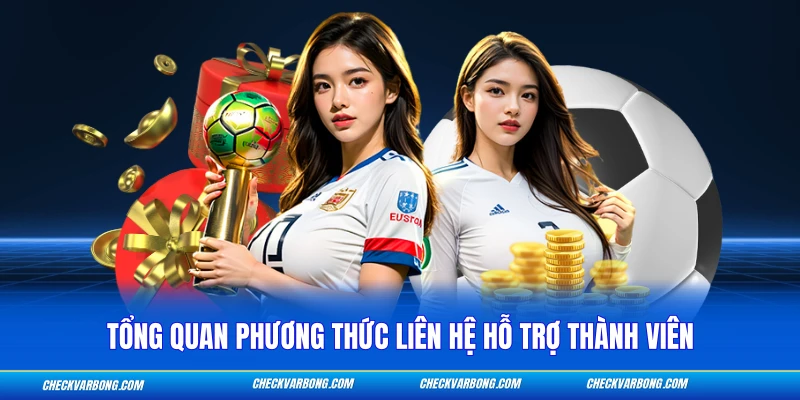 Tổng quan phương thức liên hệ hỗ trợ thành viên