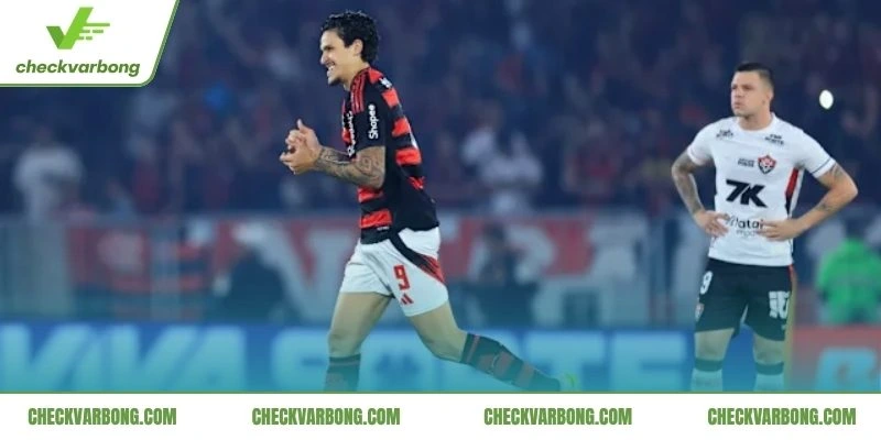 Ví dụ thực tế về việc áp dụng quy định FFP